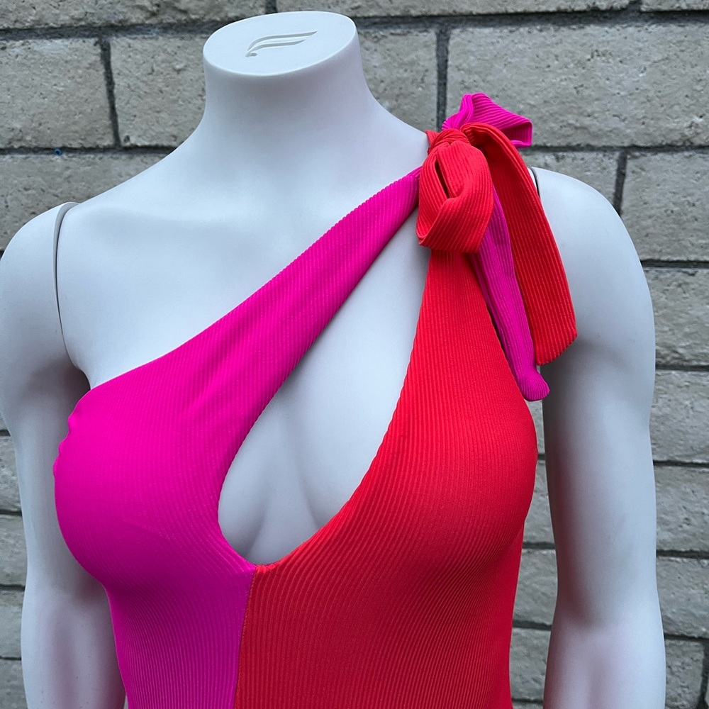 Beach Riot Color Block Nia One piece bathing suit - Picture 4 of 7